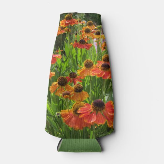 サビンの早咲きヘレニアムイヌラ ボトルクーラー (正面)