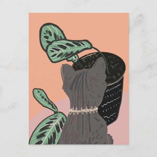 サビ猫 グレー 植物 ありがとう ポストカード (正面)