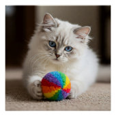 サファイアアイズとカラフルおもしろい ポスター (正面)