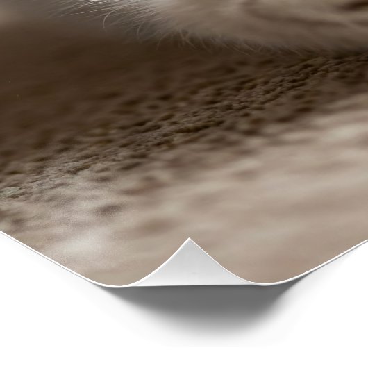 サファイアアイズとカラフルおもしろい ポスター (コーナー)