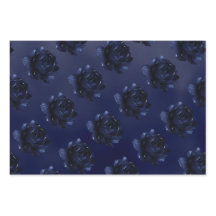 サファイアピオ結婚ニー