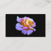 サファイアレインボーバラ名刺 名刺 (裏面)