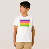 サファイック・プライドフラッグ Tシャツ (正面フル)