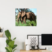 サファリのアフリカゾウ ポスター (ホームオフィス)