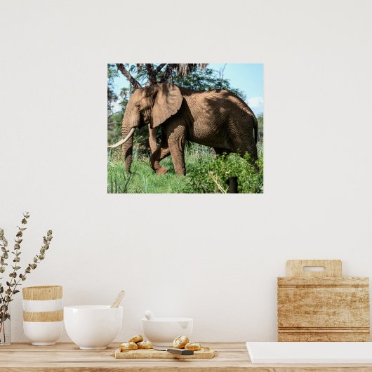 サファリのアフリカゾウ ポスター (キッチン)