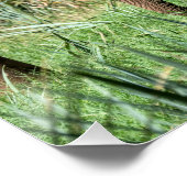 サファリのアフリカゾウ ポスター (コーナー)