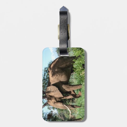 サファリのアフリカゾウ ラゲッジタグ (裏面縦)