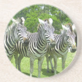 サファリのセレニティ: 3つのシブラライオンカントリーサファリ コースター (正面)