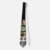 サファリのタイ ネクタイ (正面)