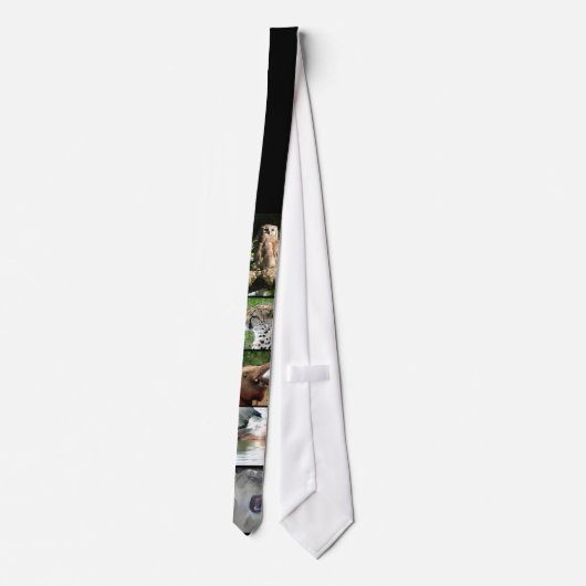 サファリのタイ ネクタイ (裏面)