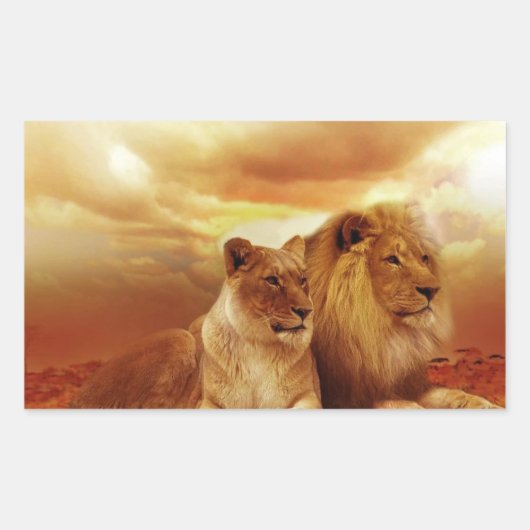 サファリのライオンのカップル 長方形シール (正面)