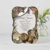 サファリアウトドアブライダルシャワー 招待状 (スタンド正面)