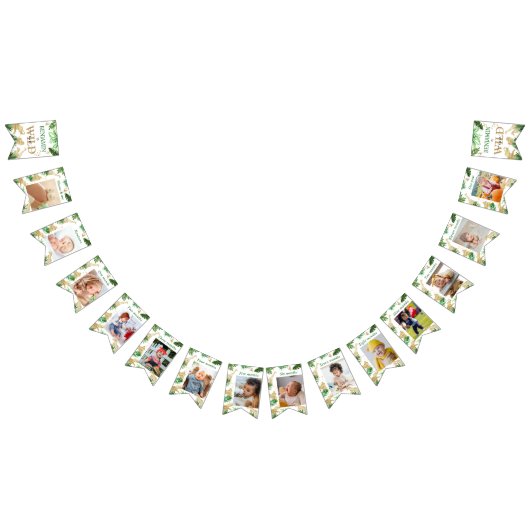 サファリアニマルズジャングルワイルドワンハッピーバースデー バンティングフラッグ (全)