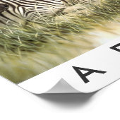 サファリアリカ ポスター (角)