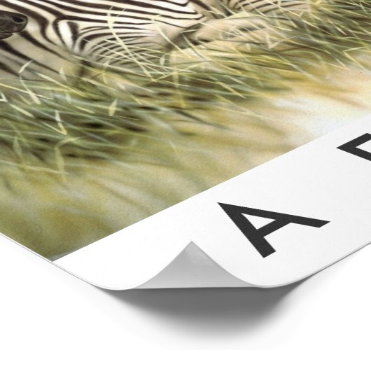 サファリアリカ ポスター (角)