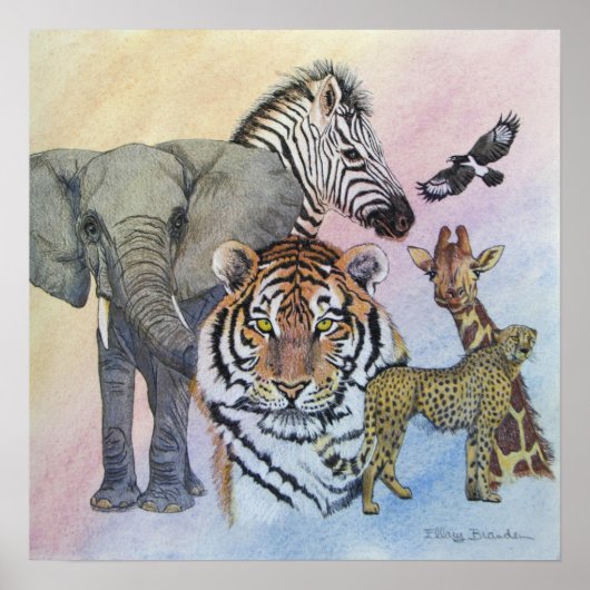 サファリサンプラー ポスター (正面)