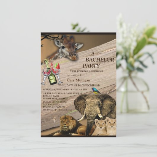 サファリパークアウトドアバチュラーパーティ (スタンド正面)