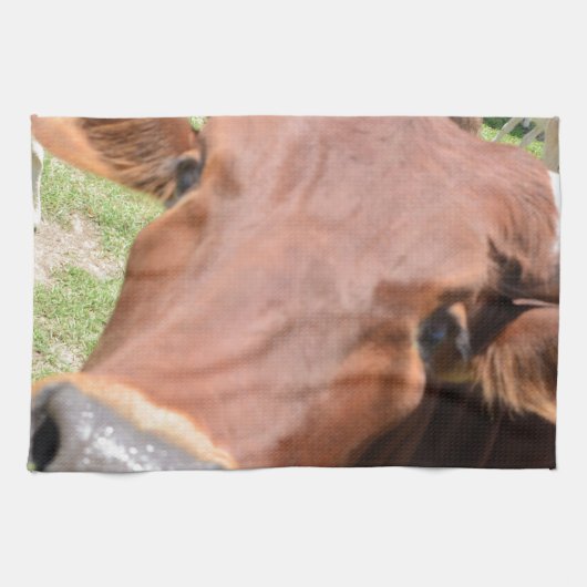 サファリブラウンカウズ キッチンタオル (横)