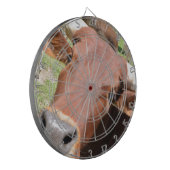 サファリブラウンカウズ ダーツボード (正面左)