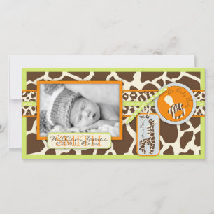 サファリボーイグリーンフォトカード シーズンカード