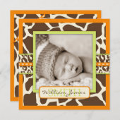 サファリボーイ オレンジ アナウンス スクエア 案内状 (正面/裏面)