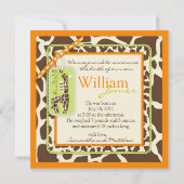 サファリボーイ オレンジ アナウンス スクエア 案内状 (裏面)