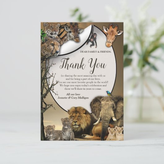 サファリワイルドライフサンキューカード 出欠カード (スタンド正面)