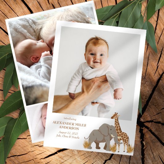サファリ動物の写真新生児発表 招待状