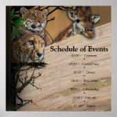 サファリ屋外 ポスター (正面)