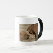 サファリ素晴らしセレニティ:オールシーズンの獅子像 モーフィングマグカップ (正面右)