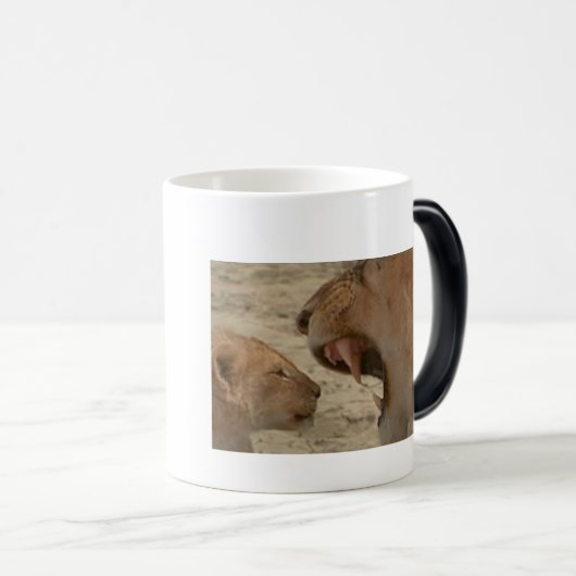 サファリ素晴らしセレニティ:オールシーズンの獅子像 モーフィングマグカップ (正面右)