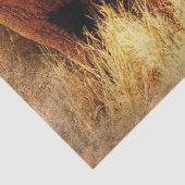 サファリ象ティッシュペーパー 薄葉紙 (詳細)