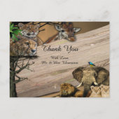 サファリ野生動物ありがとう 案内ポストカード (正面)