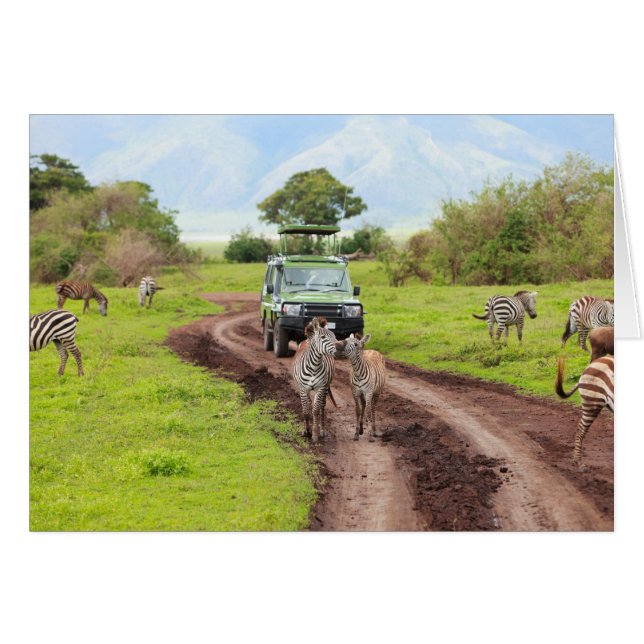 サファリ (正面横)