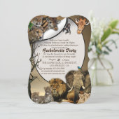 サファリ・ウィークエンド・バチェロレッテ 招待状 (スタンド正面)