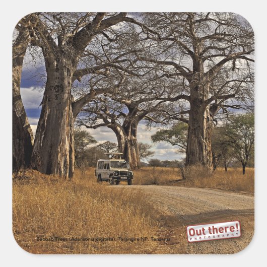 サファリ スクエアシール (正面)