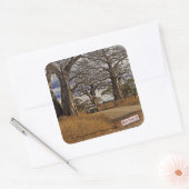 サファリ スクエアシール (封筒)