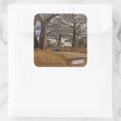 サファリ スクエアシール (バッグ)