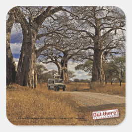 サファリ スクエアシール