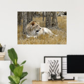 サファリ – ライオン ポスター (ホームオフィス)