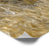 サファリ – ライオン ポスター (角)