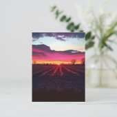 サフォークの夕日が夕暮れ前 ポストカード (スタンド正面)