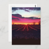 サフォークの夕日が夕暮れ前 ポストカード (正面/裏面)