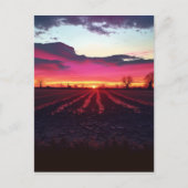 サフォークの夕日が夕暮れ前 ポストカード (正面)