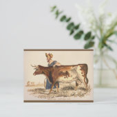 サフォークカウー素朴ヴィンテージカントリーファームハウスアート ポストカード (スタンド正面)