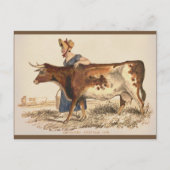 サフォークカウー素朴ヴィンテージカントリーファームハウスアート ポストカード (正面)