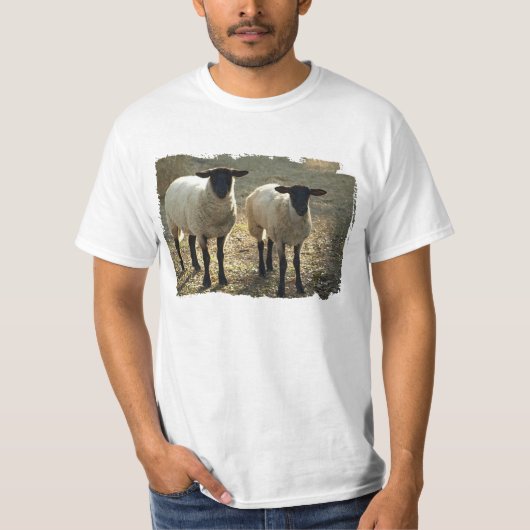 サフォーク羊の牧歌的な牧場または納屋の風景 Tシャツ (正面)