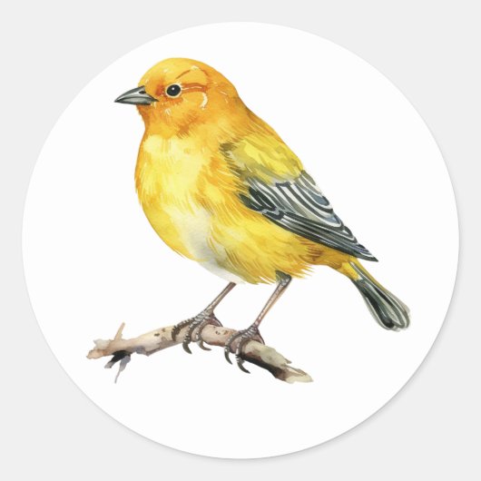 サフランフィンチ鳥のステッカー ラウンドシール (正面)