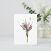 サフラン・クロッカス(クロッカス・サティヴィス)by Redoute ポストカード (スタンド正面)