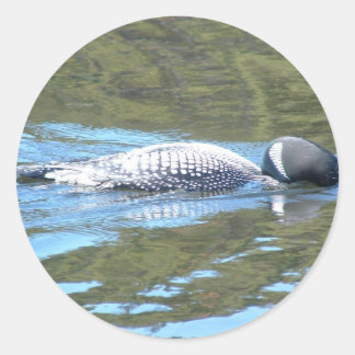 サブサーフェス検索 ラウンドシール